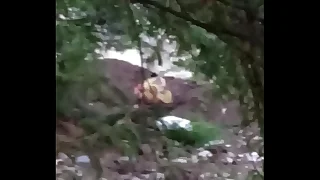 Vaghari aunty pee outdoor accouterment 1